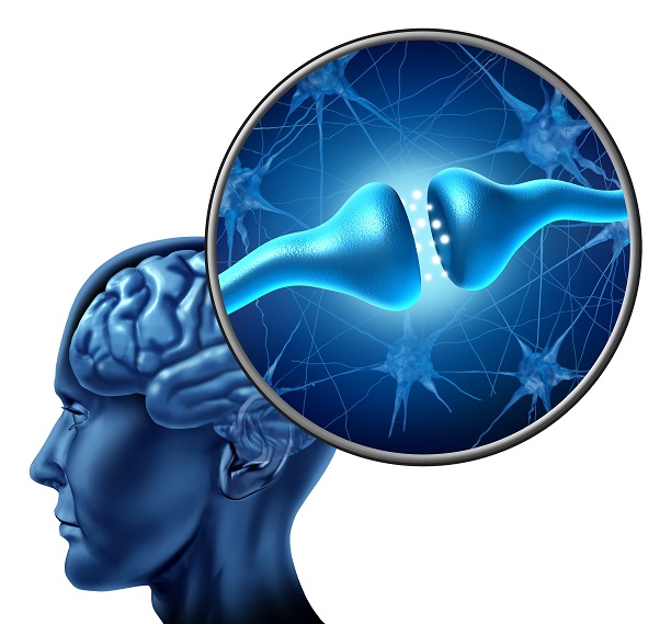 Le défi du changement - Comment la neuroscience peut nous aider